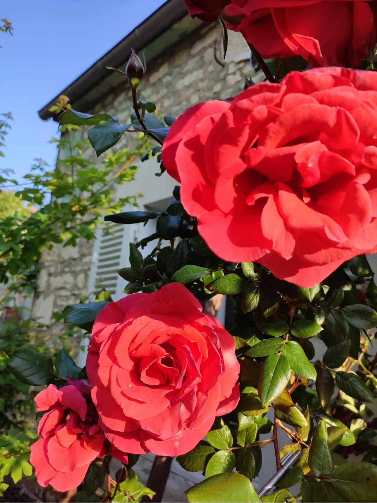 Gite En Plein Coeur Du Vignoble Chablisien Courgis Esterno foto